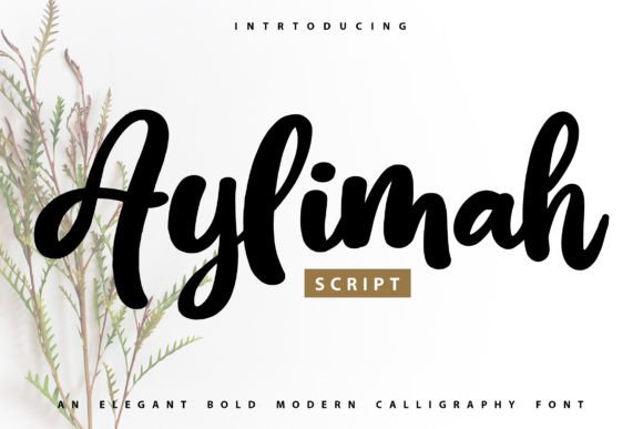 Aylimah: The Script Font That Elevates Digital Branding