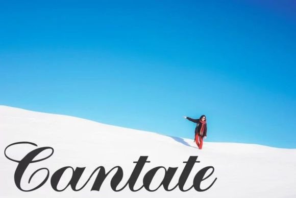 Cantate Script Font: Bold Expressions for Designers