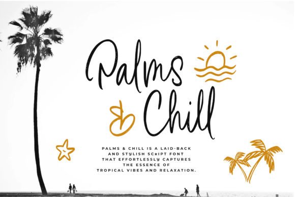 Palms Chill: A Script Font for Tropical Branding and Digital Design