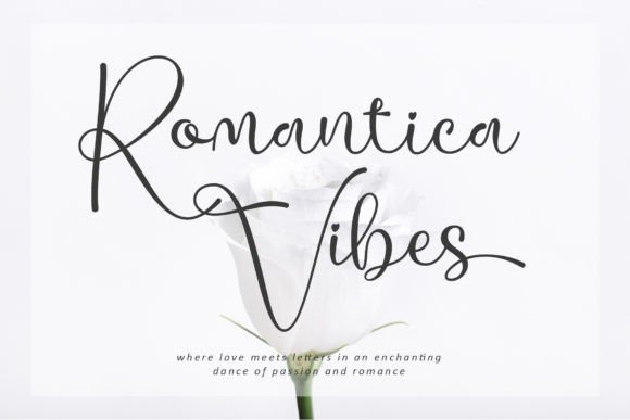 Romantica Vibes: A Script Font for Captivating Digital Campaigns