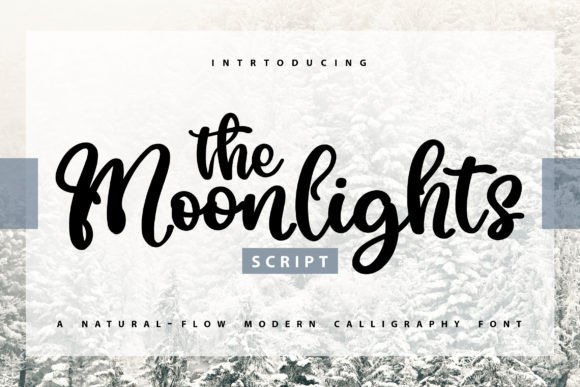 The Moonlights: A Script Font That Elevates Your Brand