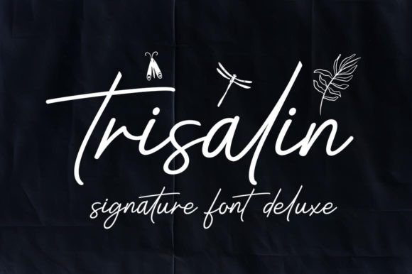Trisalin: The Font That Elevates Your Brand’s Visual Story